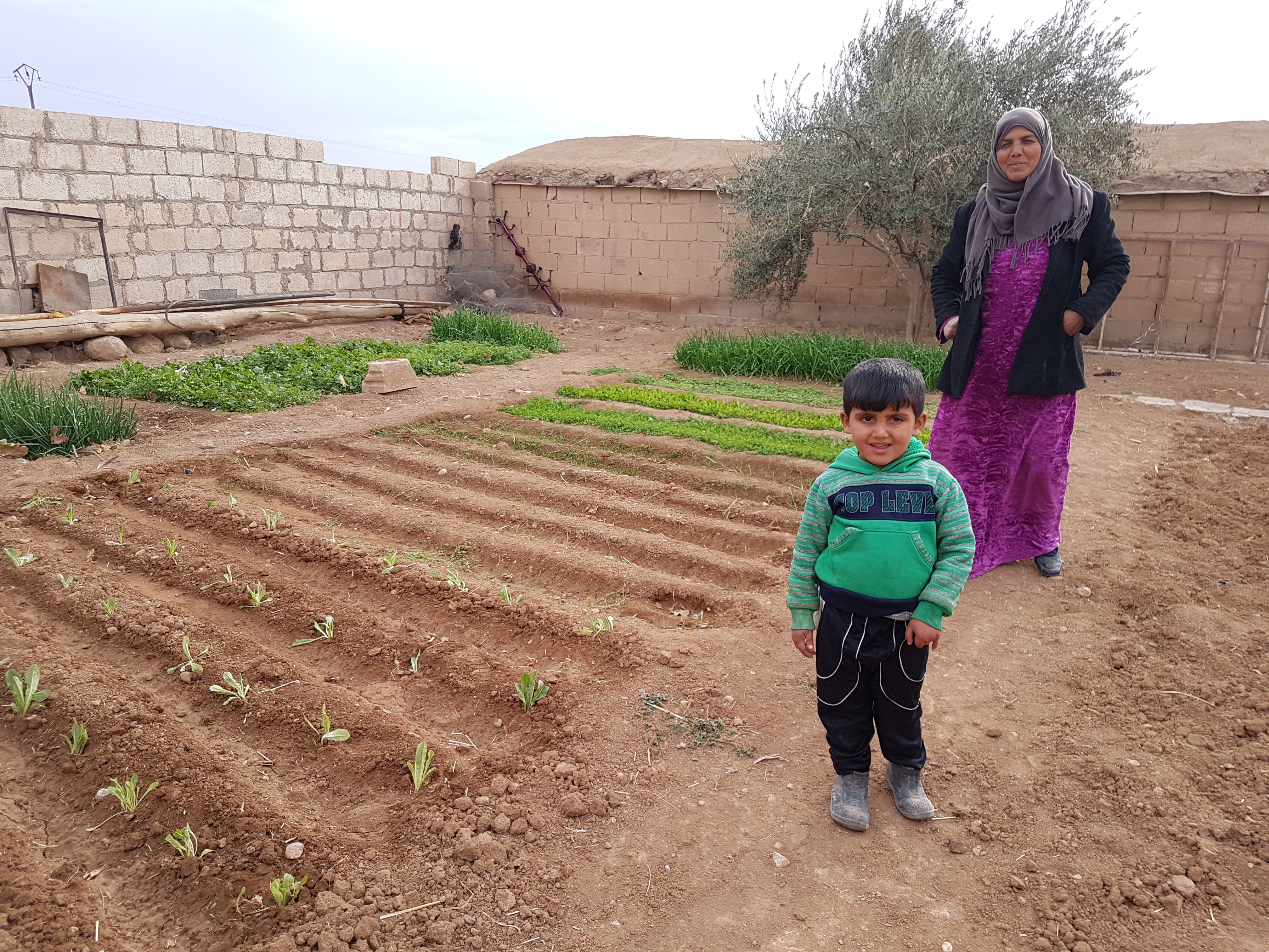 Supporting Family Food Security in Syria